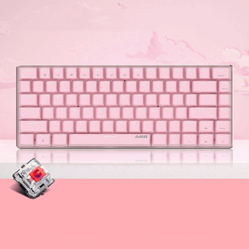 Computer Notebook Mechanical Keyboard